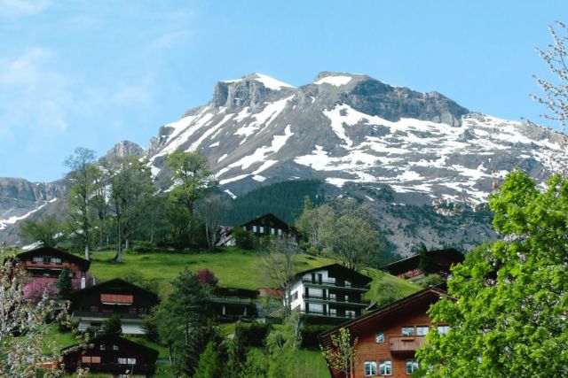 Grindelwald Switzerland