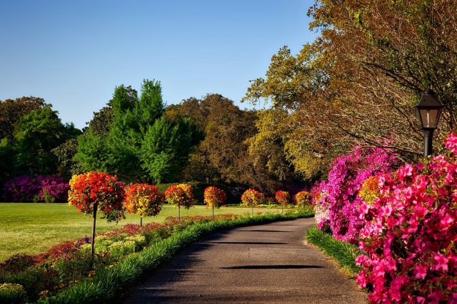 Gateway Garden in Greensboro NC