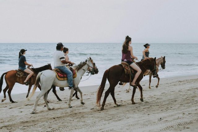 Horseback Riding on The Beach