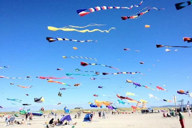 International Kite Festival